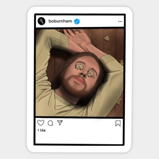 Bo Burnham - White Woman's Instagram Sticker